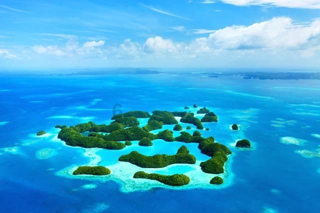栀子落星海