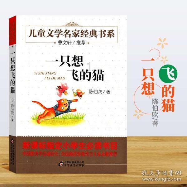 空中战队